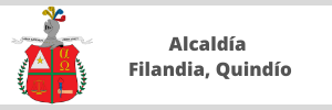 Banco de proyectos del Municipio de Filandia Quindío